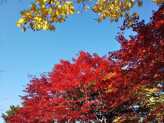 平岡樹芸センター